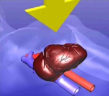 Piston compression CPR